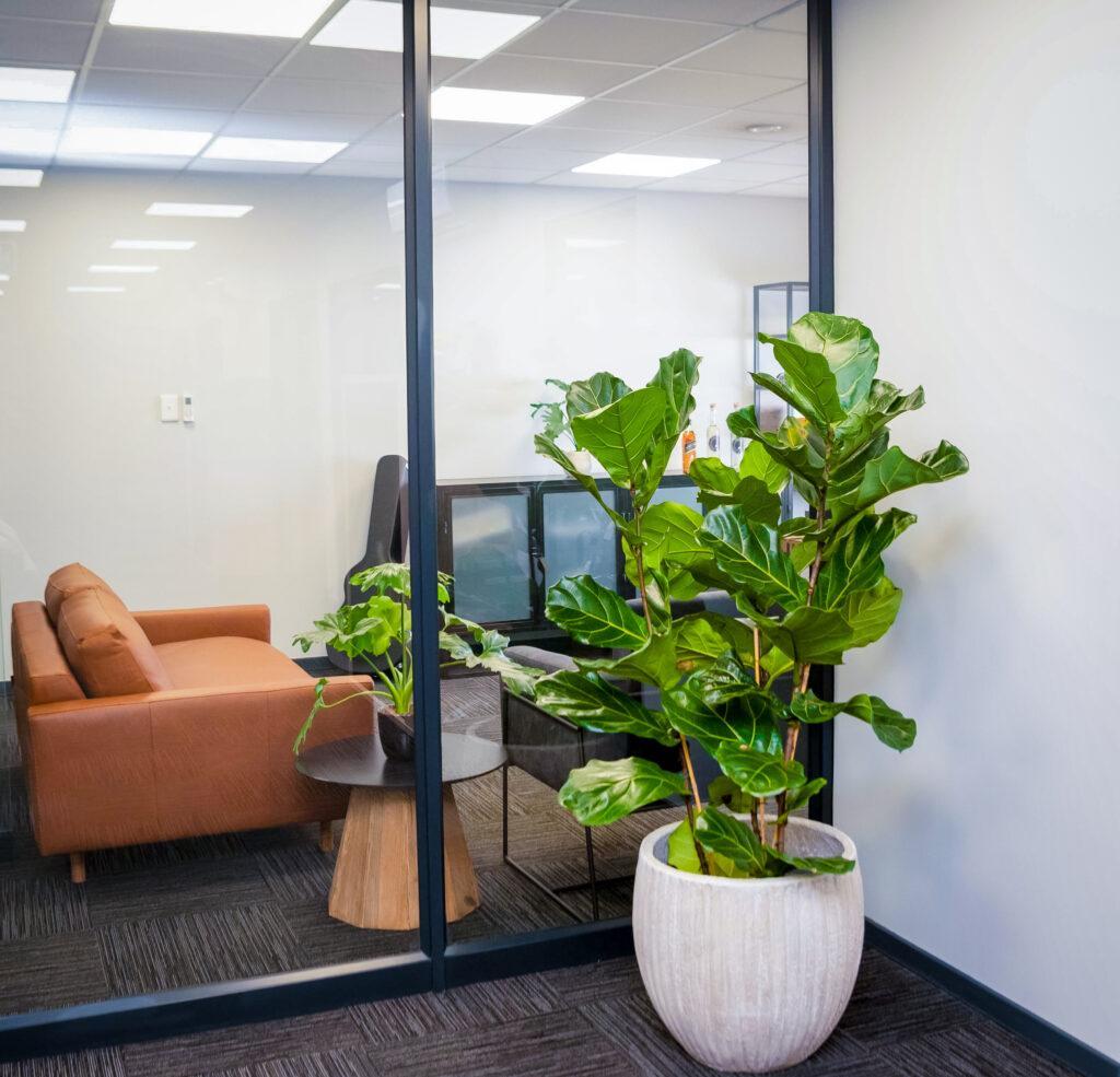 Design Colour-49 - Dandy Lion Interior Experiences