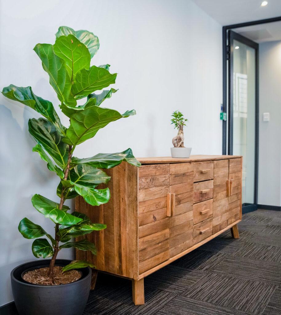 Design Colour-56 - Dandy Lion Interior Experiences