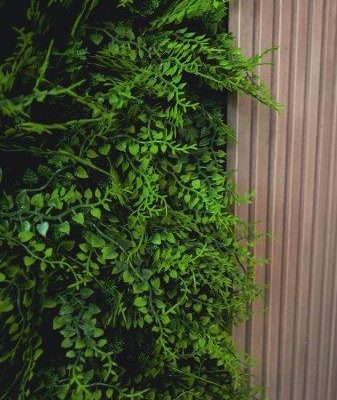 NDM Cartel - Dandy Lion-37