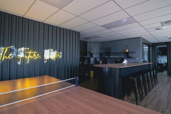 NDM Cartel - Dandy Lion-48